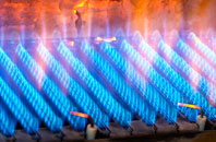 Govilon gas fired boilers